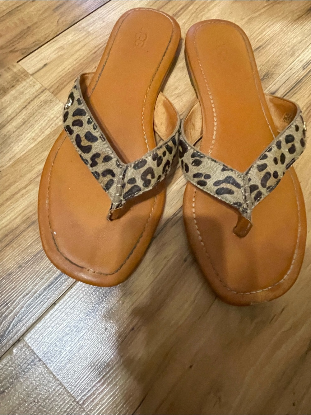 UGG Leopard-Print Thong Sandals with Tan Footbed